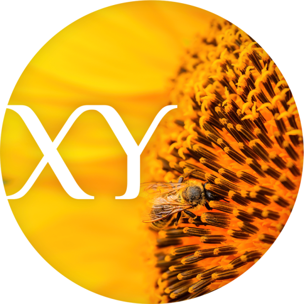 Medixy-XY-04